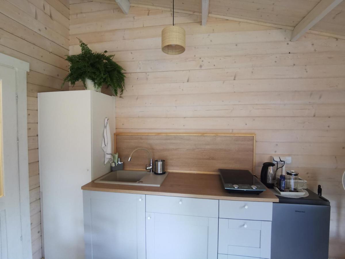Domek Caloroczny Na Wylacznosc Niebieska Osada Nad Gorskim Potokiem Stary Waliszow Zewnętrze zdjęcie
