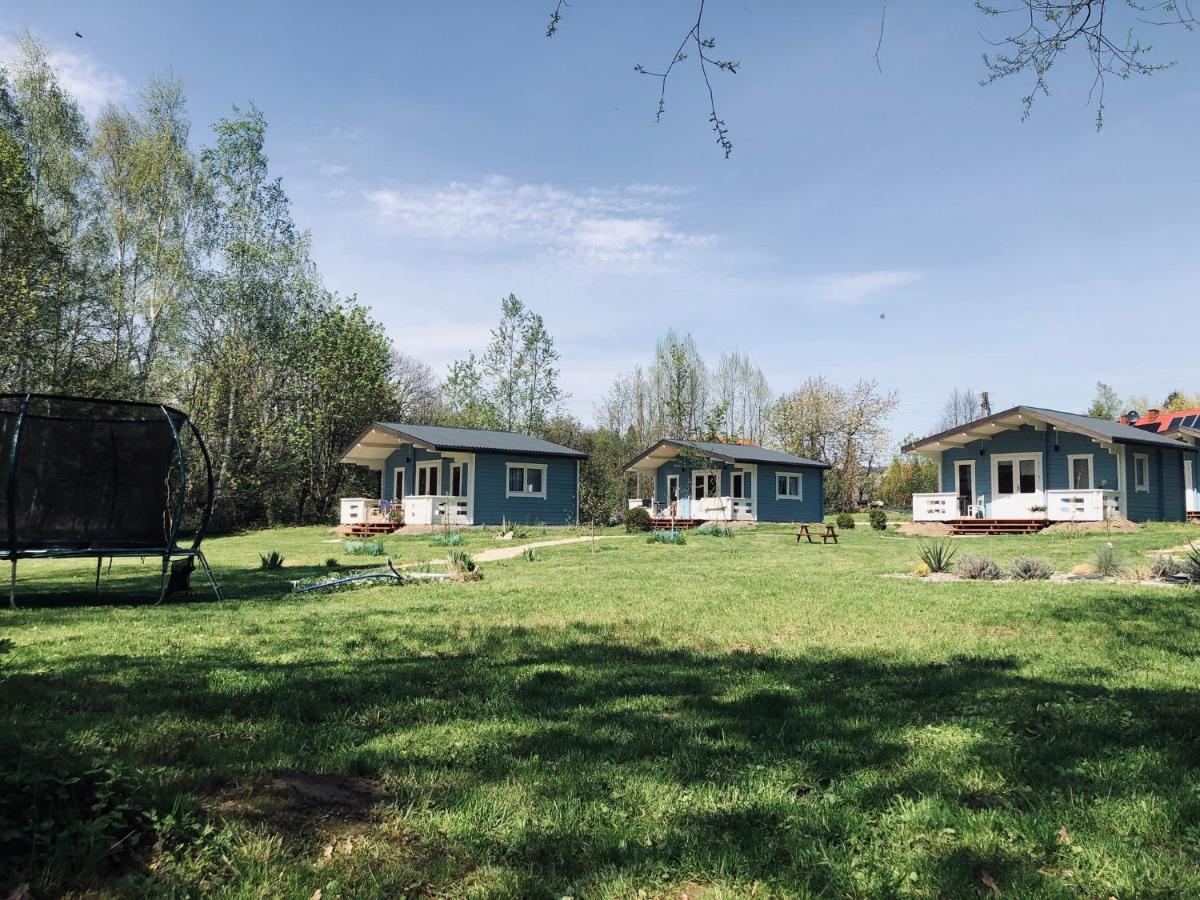 Domek Caloroczny Na Wylacznosc Niebieska Osada Nad Gorskim Potokiem Stary Waliszow Zewnętrze zdjęcie