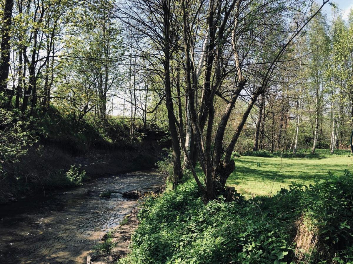 Domek Caloroczny Na Wylacznosc Niebieska Osada Nad Gorskim Potokiem Stary Waliszow Zewnętrze zdjęcie