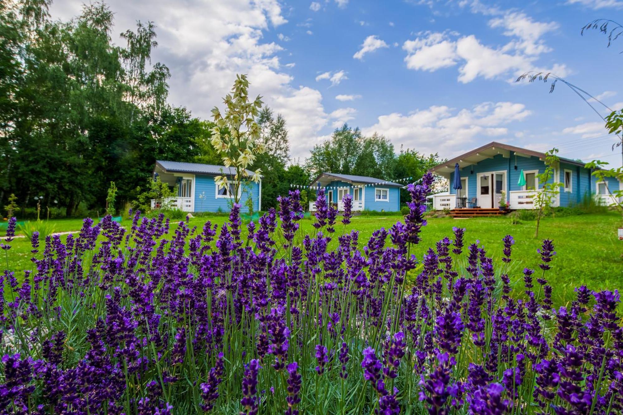 Domek Caloroczny Na Wylacznosc Niebieska Osada Nad Gorskim Potokiem Stary Waliszow Zewnętrze zdjęcie