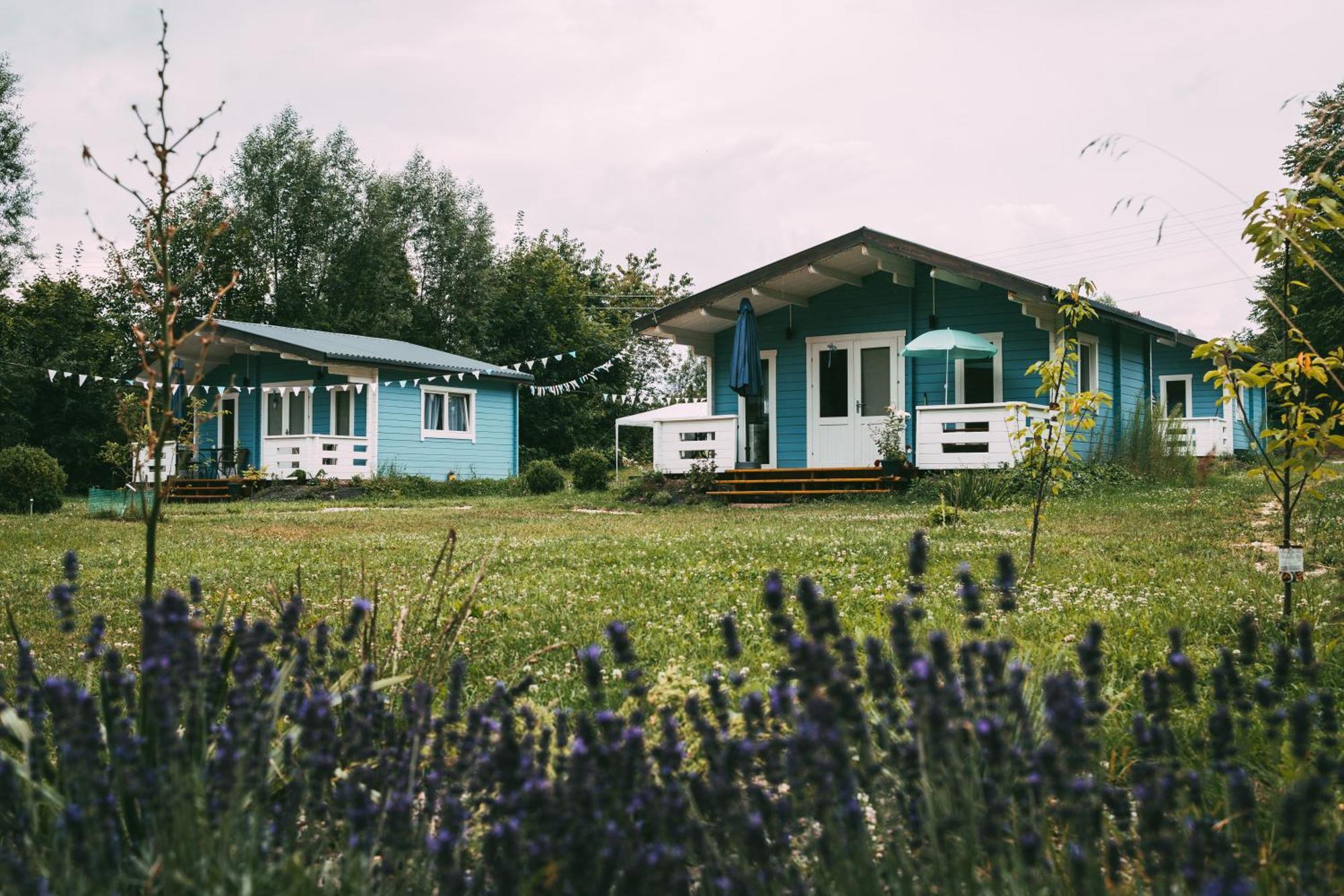Domek Caloroczny Na Wylacznosc Niebieska Osada Nad Gorskim Potokiem Stary Waliszow Zewnętrze zdjęcie